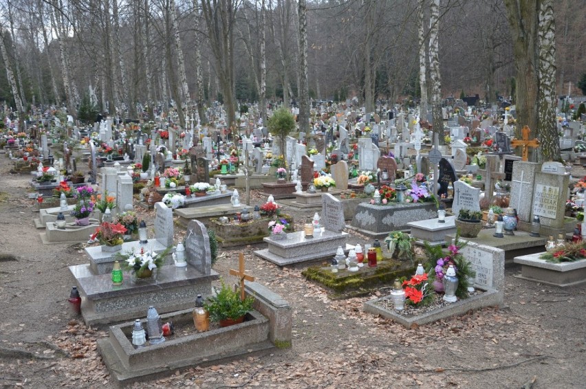 Na cmentarzu w Wejherowie brakuje miejsc? Radny Kozłowski: Trzeba powołać cmentarz komunalny [ZDJĘCIA]