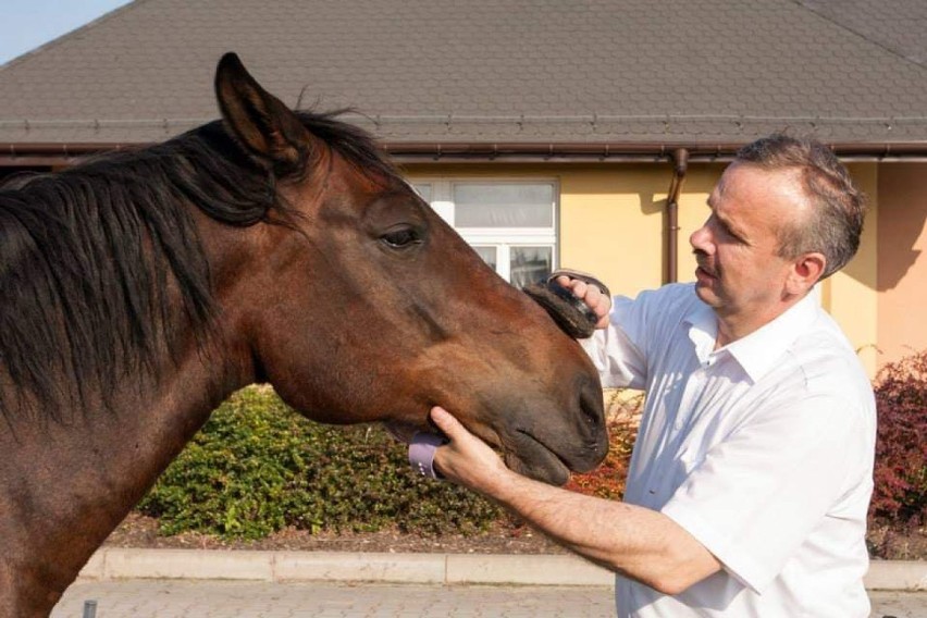 Prezes Stowarzyszenia Tacy Sami w Wieluniu Waldemar Kluska kocha konie, które wspomagają terapię podopiecznych stowarzyszenia