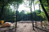 Kurhany sprzed 2000 lat znaleziono w lasach  Nadleśnictwa Kudypy [ZDJĘCIA]