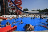 Zaplanuj wakacje pełne przygód w Aquaparku Fala dla twojego dziecka!
