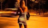 Zabójstwo prostytutki i jej klienta pod Bydgoszczą. Jowita była w „fachu” od niedawna. Zwłoki znalazł w lesie grzybiarz