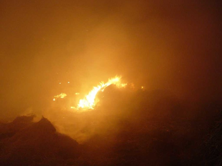 Pożary w gminie Złoczew