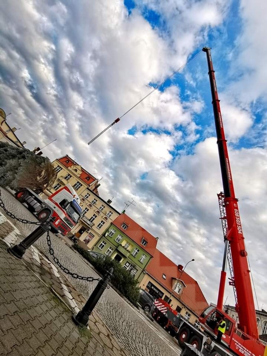 Szamotuły. Na Rynku stanęła bożonarodzeniowa choinka! [ZDJĘCIA]