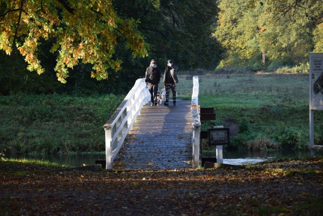 Park i pałac w Żaganiu w jesiennej odsłonie. Kładka w parku