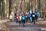 Wrocław. Trwają zapisy na sobotni bieg w Lesie Osobowickim. Zobacz szczegóły