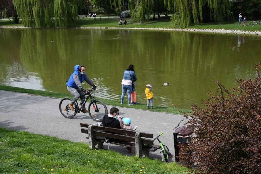 Majówka 2020 i tłumy w Parku Miejskim w Kielcach. W piątek 1 maja ruszyliśmy na spacery, rower czy rodzinnie karmić gołębie i ryby [ZDJĘCIA]