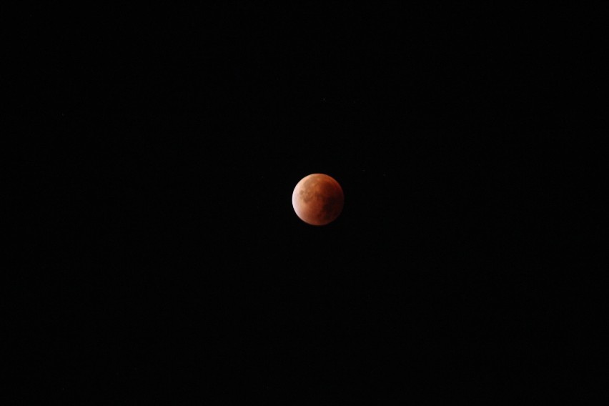 Krwawy Księżyc 2015. Zobacz zdjęcia z zaćmienia
