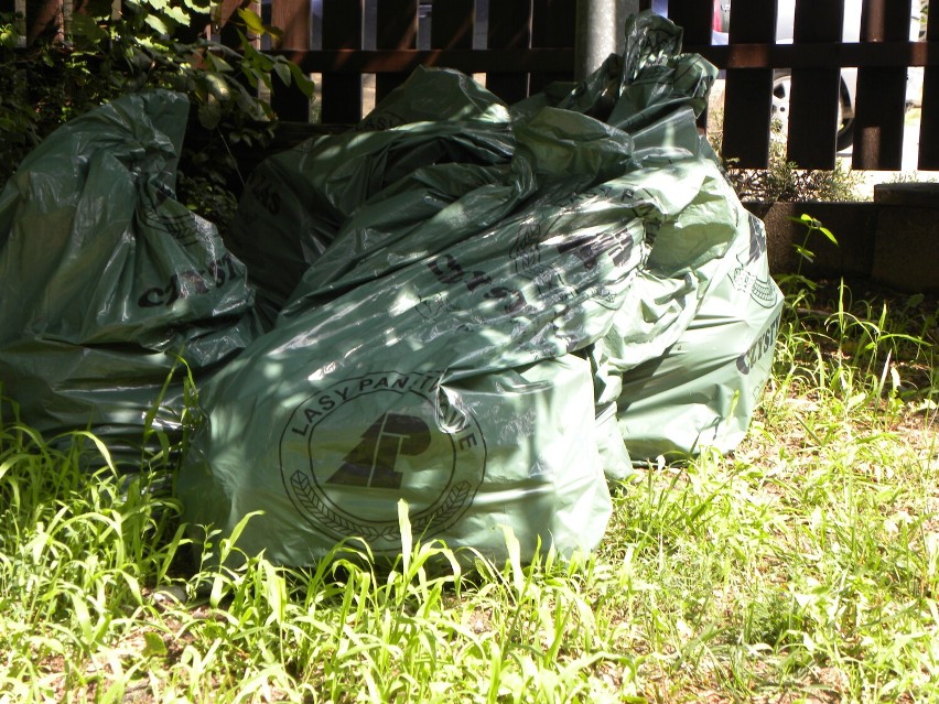 Plogging, czyli bieganie i sprzątanie w Lesie Winiarskim. ZDJĘCIA