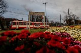 Ponad tysiąc chryzantem na rondzie Ofiar Katynia w Gdańsku [ZDJĘCIA]