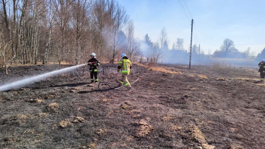 Tragiczny pożar traw w Klewie koło Opoczna. Znaleziono ciało starszego mężczyzny