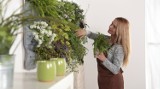 Jak zrobić ogród wertykalny? Stwórz zieloną ścianę we własnym domu