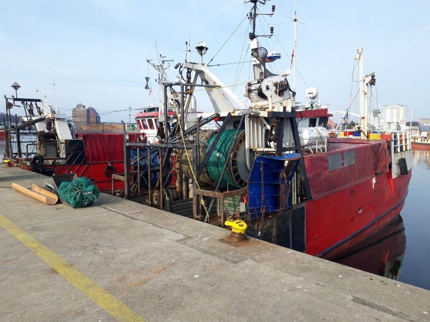 Port rybacki w Kołobrzegu na drugim miejscu pod względem przeładunku ryb