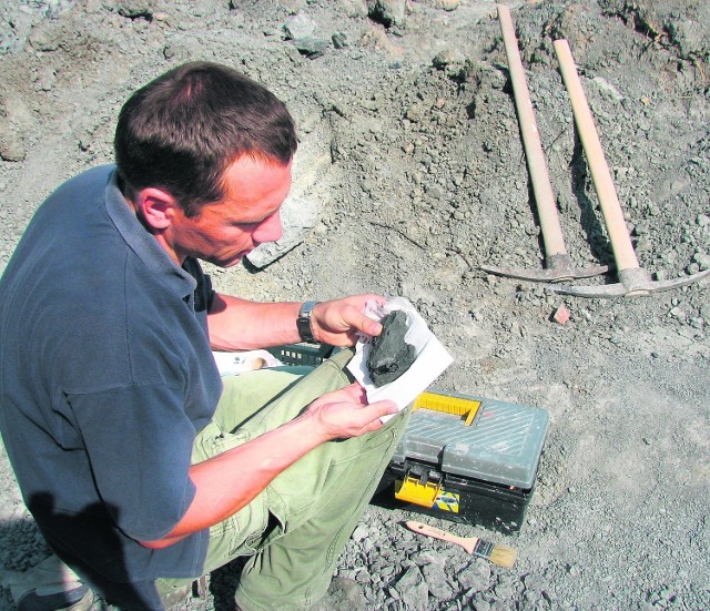 Prace archeologiczne w cegielni w Lipiu Śląskim, które rozsławiły to miejsce na świecie.