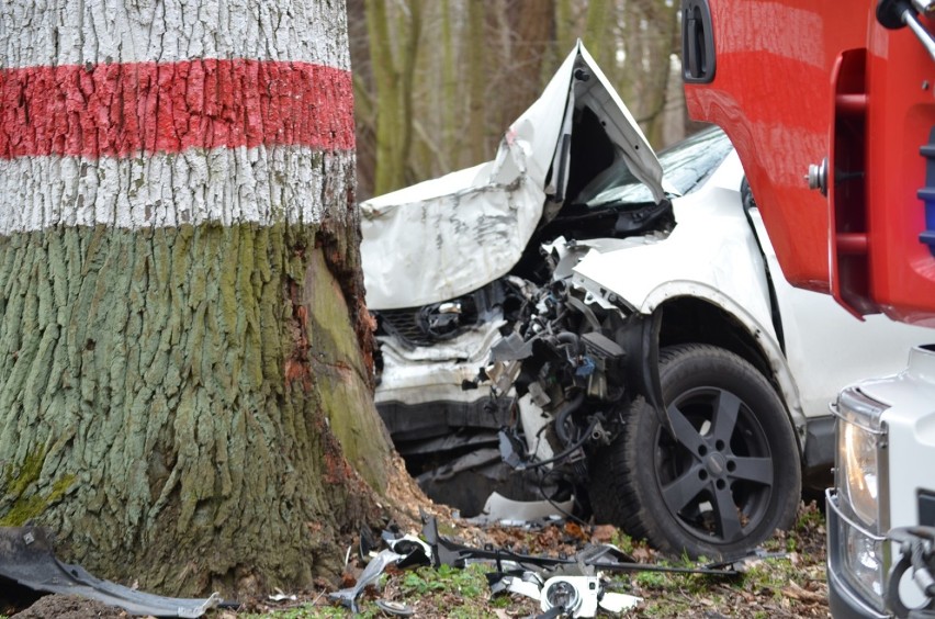 Na drodze Serby - Gola samochód uderzył w drzewo. Kierowca jest ranny. ZDJĘCIA.FILM