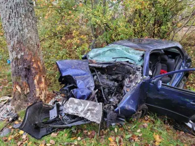 Skoda uderzyła w przydrożne drzewo. W aucie jechał tylko kierowca