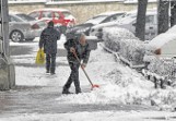 Zima w Poznaniu - Drogowcy apelują o niestosowanie soli i chemikaliów