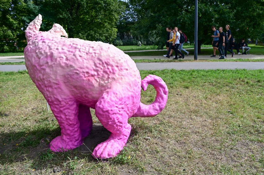 Różowy pies w jednym z warszawskim parków. Rzeźba podzieliła...