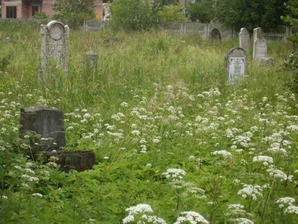 Niesamowite odkrycie na cmentarzu w Tarnowie