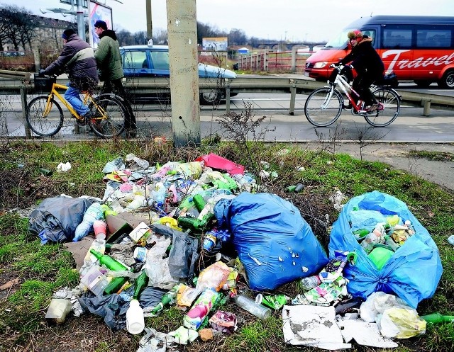 Góry śmieci zalegają nawet przy głównych drogach. Te znaleźliśmy tuż przed mostem Trzebnickim