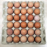Wielkanoc: Dobre jajka nie tylko kurze