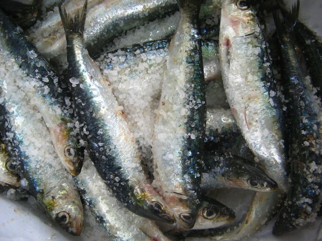 Ul. Pocztowa: Ukradli mrożone ryby i wiaderka ze śledziami