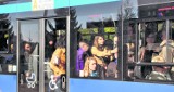 Paraliż na Ruczaju - czy autobus 714 uratuje pasażerów?