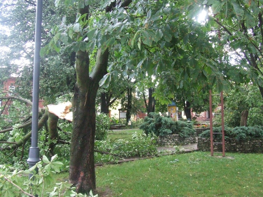 Nawałnica w Żarnowcu: Połamane drzewa, pozrywane dachy [ZDJĘCIA]