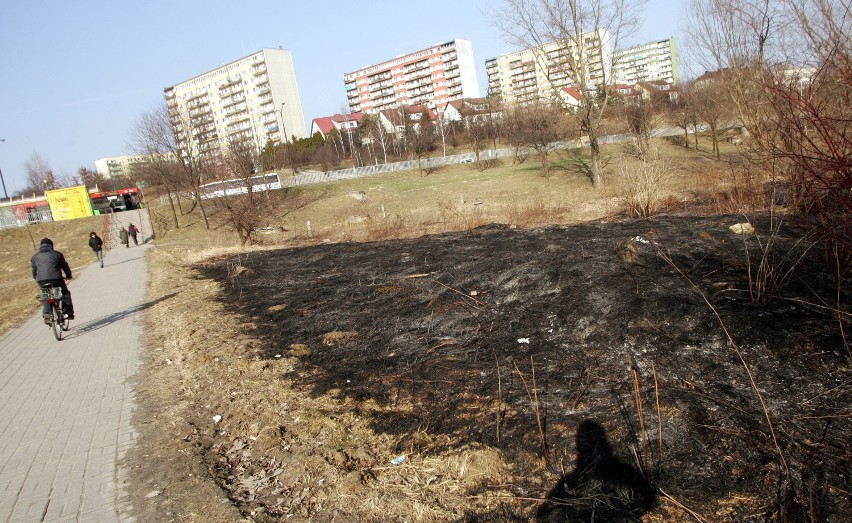 Pożar przy ul. Jana Pawła II, płonie trawa (ZDJĘCIA)