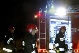 Łódź: pożar pustostanu na Sasanek 1