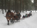 Jak nie zanudzić się w święta Bożego Narodzenia? Przyjedź na Kaszuby!