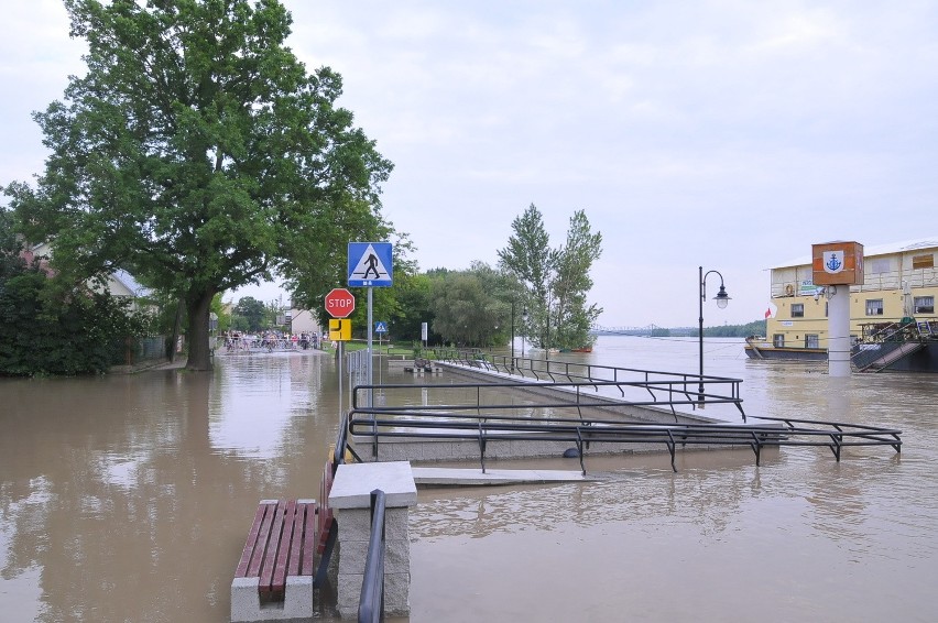 Puławy, 8.06.2010