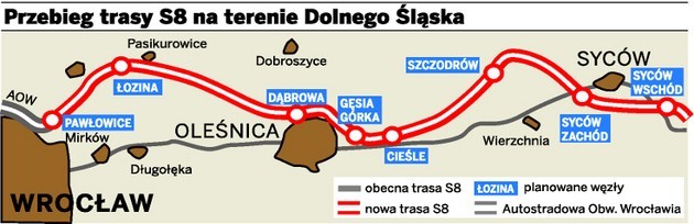 Droga S8 do Warszawy zablokowana przez orła