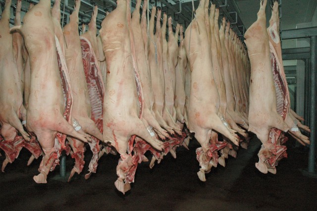 Policja w Wielkopolsce rozbiła gang złodziei mięsa