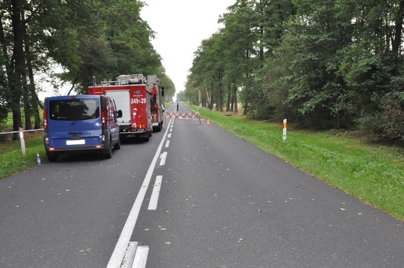 Cztery osoby zginęły w wypadku w Kolonii Wisznice. Audi rozbiło się na drzewie. NOWE FAKTY