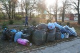 Akcja liść. Worki trafiają na stare miejsce