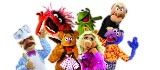 Absolutny HIT: Muppety i bój o krupnioka