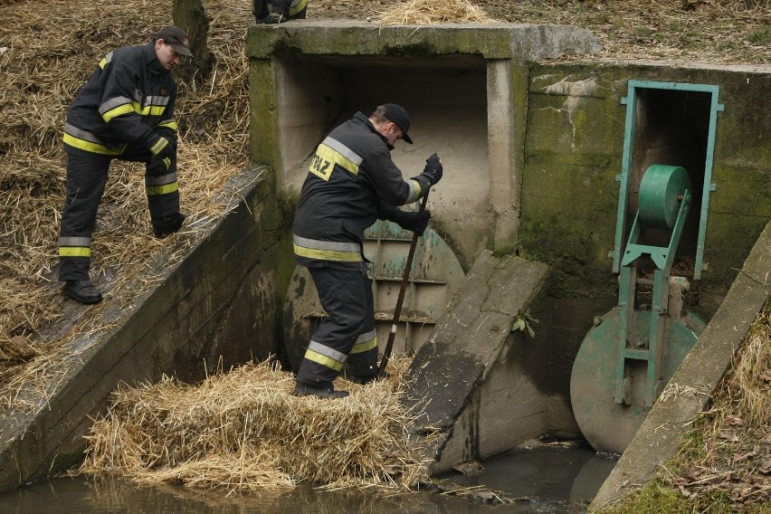 Ślęza zagrożona. Strażacy walczyli z podejrzaną substancją