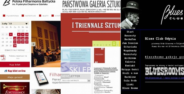 Strona w internecie musi spełniać kilka podstawowych funkcji - oczywiście w przypadku poszczególnych instytucji różne z nich mają większe lub mniejsze znaczenie. Strona musi prezentować instytucję, informować o jej zadaniach, historii, bieżącej działalności i planach, powinna zapewniać kontakt osobom zainteresowanym wstępem na imprezy, współpracą lub dostępem do dodatkowych informacji, powinna także dawać możliwość zakupu biletów czy zarezerwowania wstępu na imprezy. Ważne jest też, by strony były jednakowo wartościowe i pomocne dla wszystkich internautów, zarówno tych, którzy utrzymują stały kontakt z danym miejscem i dobrze je znają, jak i tych, którzy chcą zdobyć tylko podstawowe informacje i zorientować się, jaki program i ofertę ma dany teatr, galeria czy klub. Dlatego niezbędne są informacje o profilu działalności, dotychczasowych osiągnięciach, o ludziach pracujących w danym miejscu lub współpracujących z nim, o najbliższych planach. Podstawowe znaczenie mają tu dokładnie podane szczegóły organizacyjne, przede wszystkim dokładne daty i godziny rozpoczęcia imprez oraz ceny biletów czy wejściówek. Biorąc pod uwagę powyższe założenia, wybrałem trzy wyróżniające się strony.