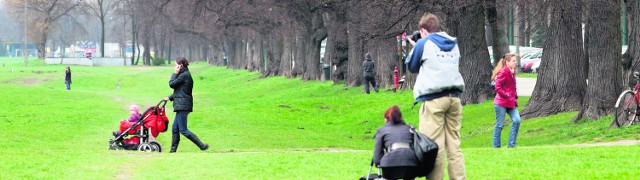 Błonia muszą przestać w końcu być wielkim pastwiskiem. Rolnicy z okolic zniknęli już dawno, a z nimi krowy. Nie muszą ich zastępować wyłącznie goniące psy. Spokojnie starczy miejsca dla nich i dla turlającyh futbolówkę krakusów