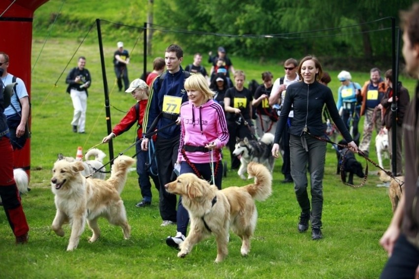 Jelenia Góra: W Przesiece odbyła się trzecia edycja Pucharu Polski w Dogtrekkingu