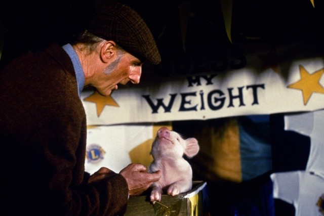 Gwiazda Transatlantyka James Cromwell na planie "Babe - świnki z klasą"
