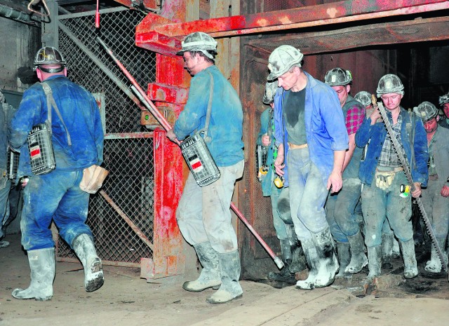 Górnicy mają nadzieję, że pomysł wprowadzenia nowych form szkolenia w końcu upadnie 