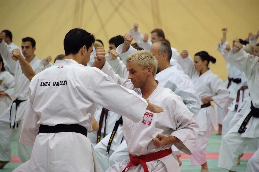 W Cieszynie odbyło się seminarium karate