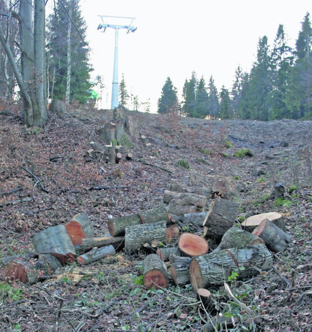 Wycinka drzew na stoku w Rzykach ruszyła w 2006 roku. Teraz sprawa trafi do sądu