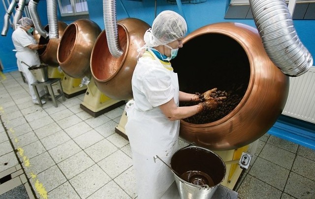 Produkcja wyrobów czekoladowych Doti w Smolcu