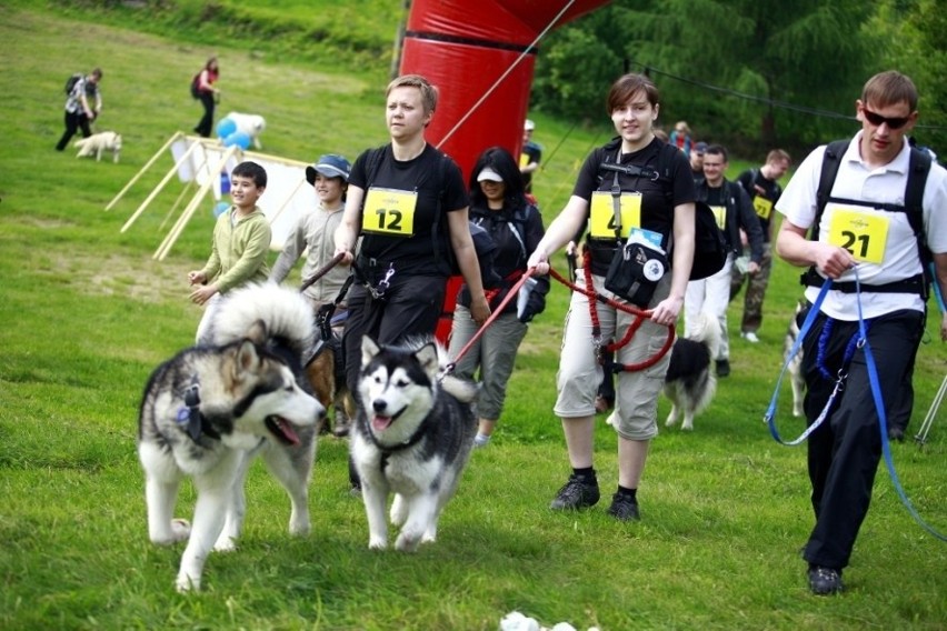 Jelenia Góra: W Przesiece odbyła się trzecia edycja Pucharu Polski w Dogtrekkingu