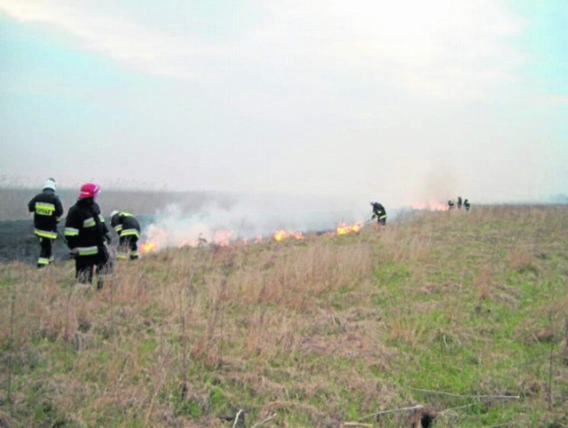 W tym roku jest wyjątkowo dużo pożarów - twierdzą strażacy