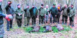 Małopolska: Uwaga! Trwa sezon polowań na dziki