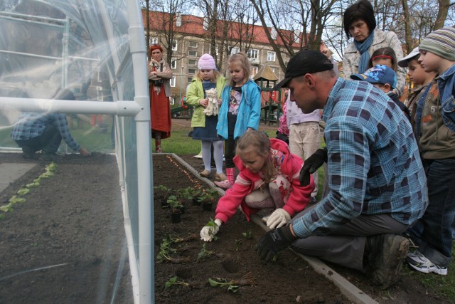 Ekologii uczą się też tyskie przedszkolaki. Mają ogródki