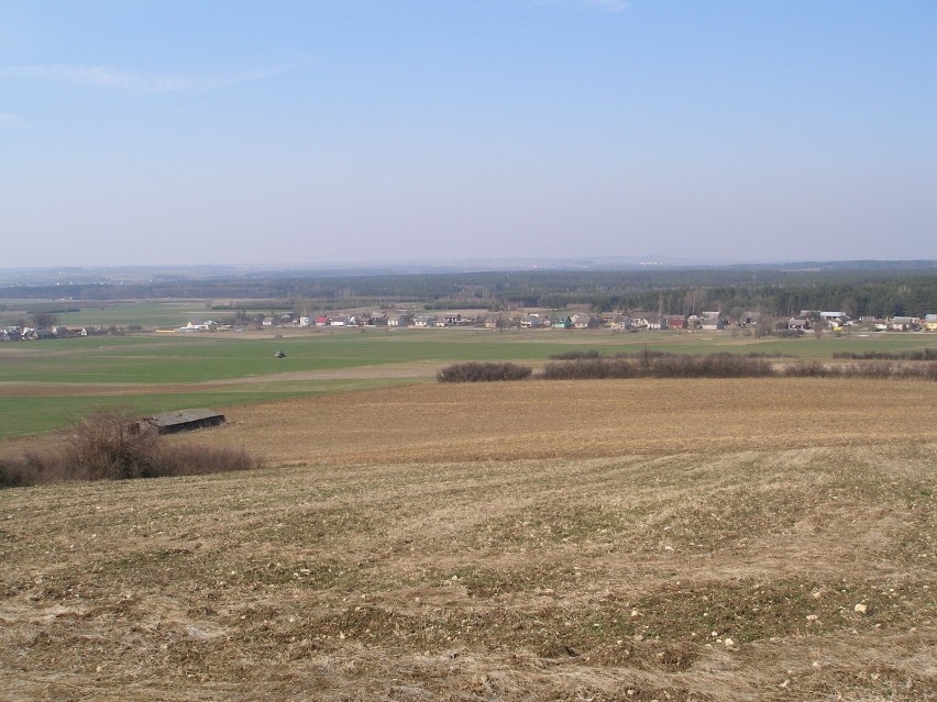 Widok na okolicę (w oddali miasto Przedbórz, wzniesienie...